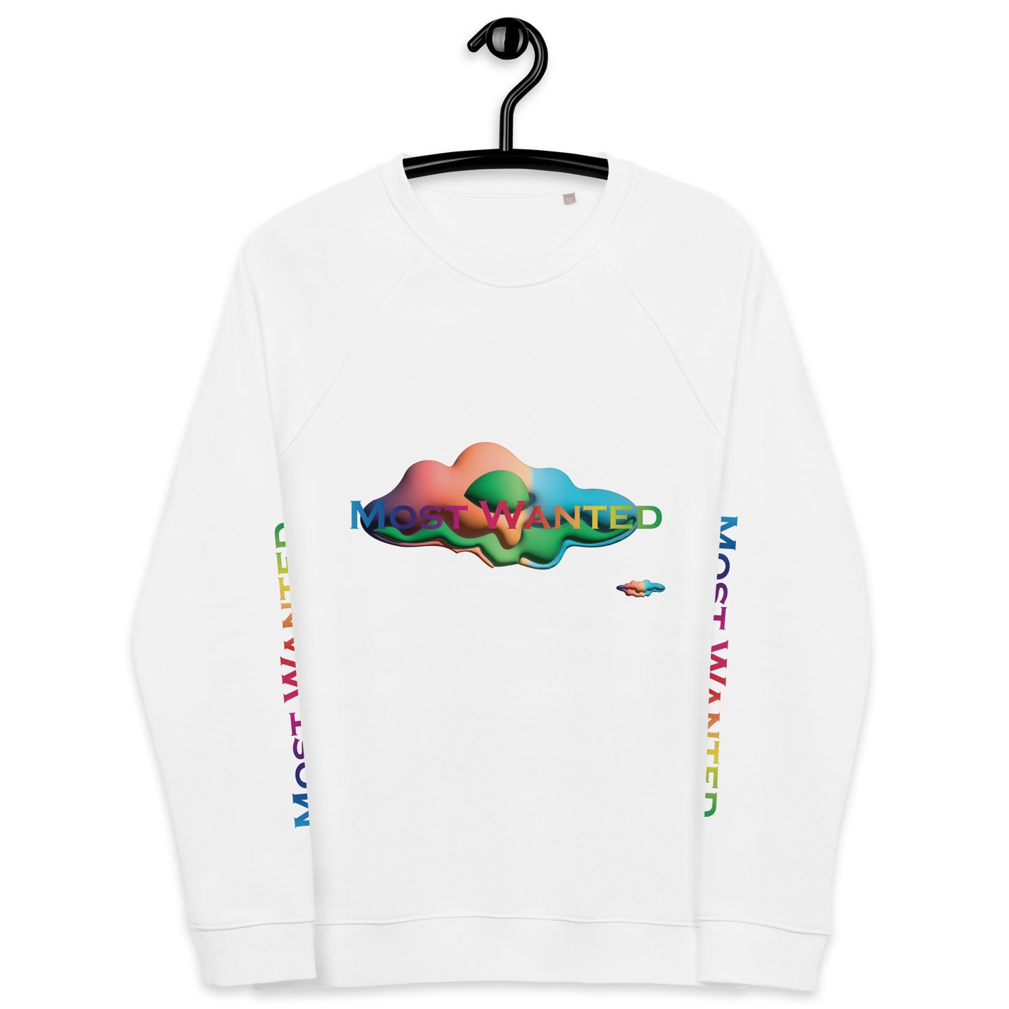 MOST WANTED CLOUDS 🌨️ 🌨️ SWEATER #2 ⭐⭐⭐