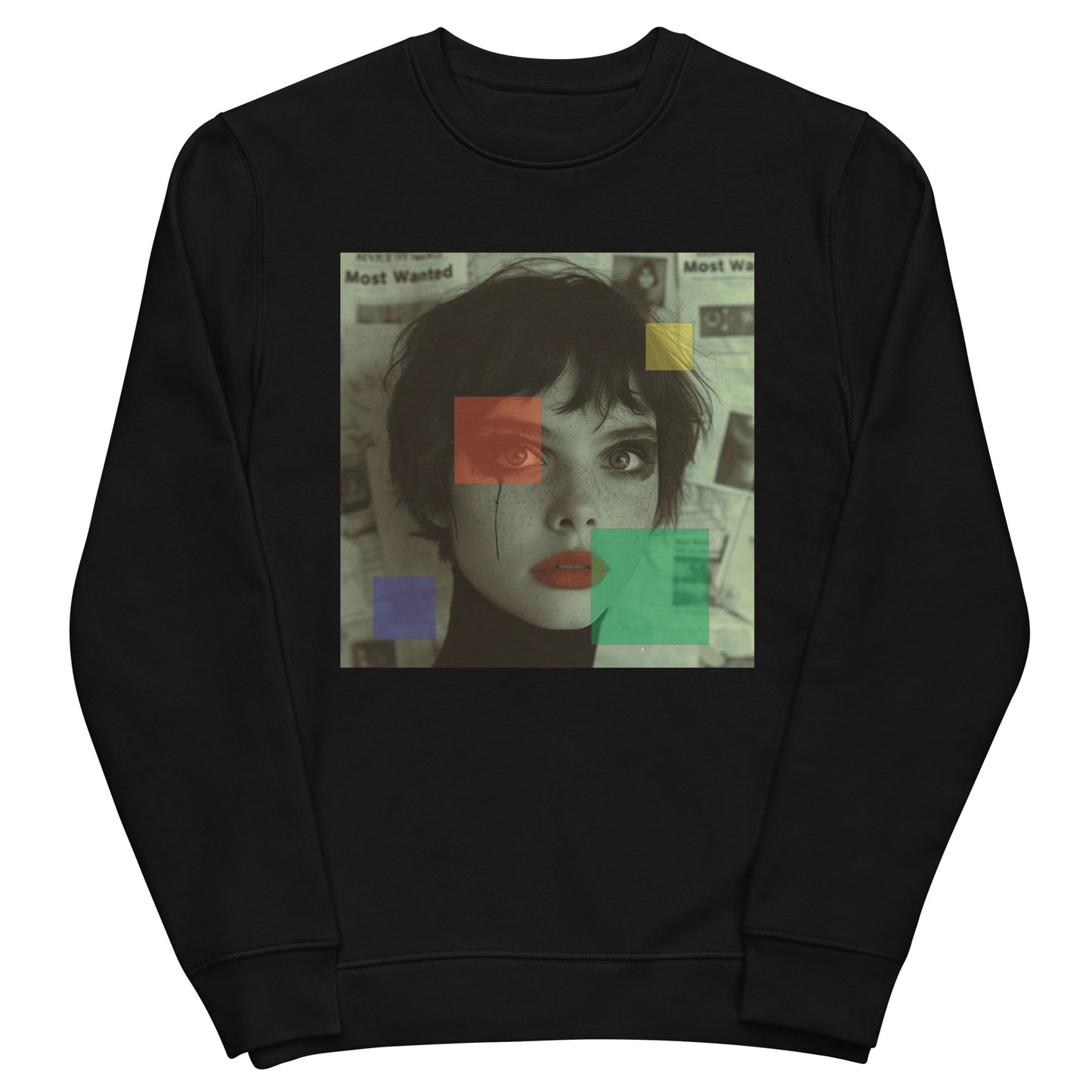 Ellestria sweatshirt (Most Wanted)