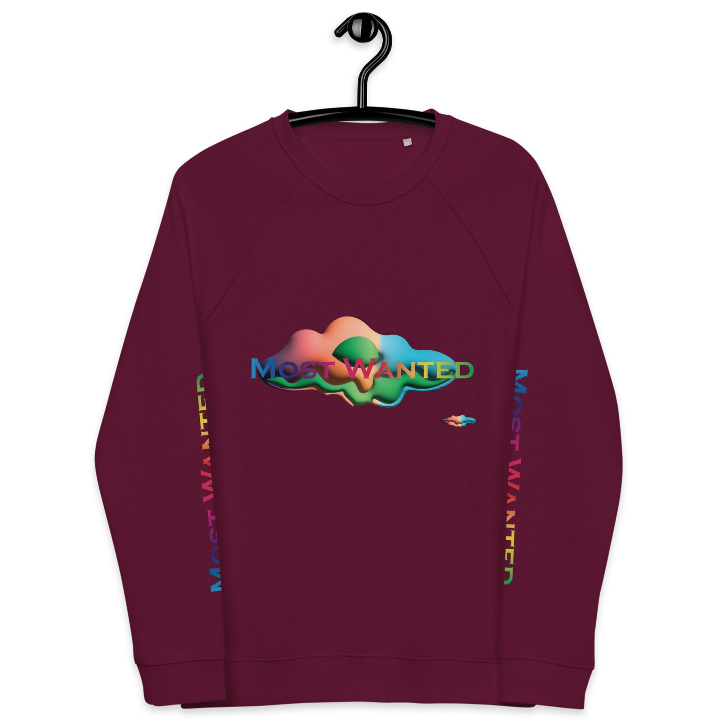 MOST WANTED CLOUDS 🌨️ 🌨️ SWEATER #2 ⭐⭐⭐