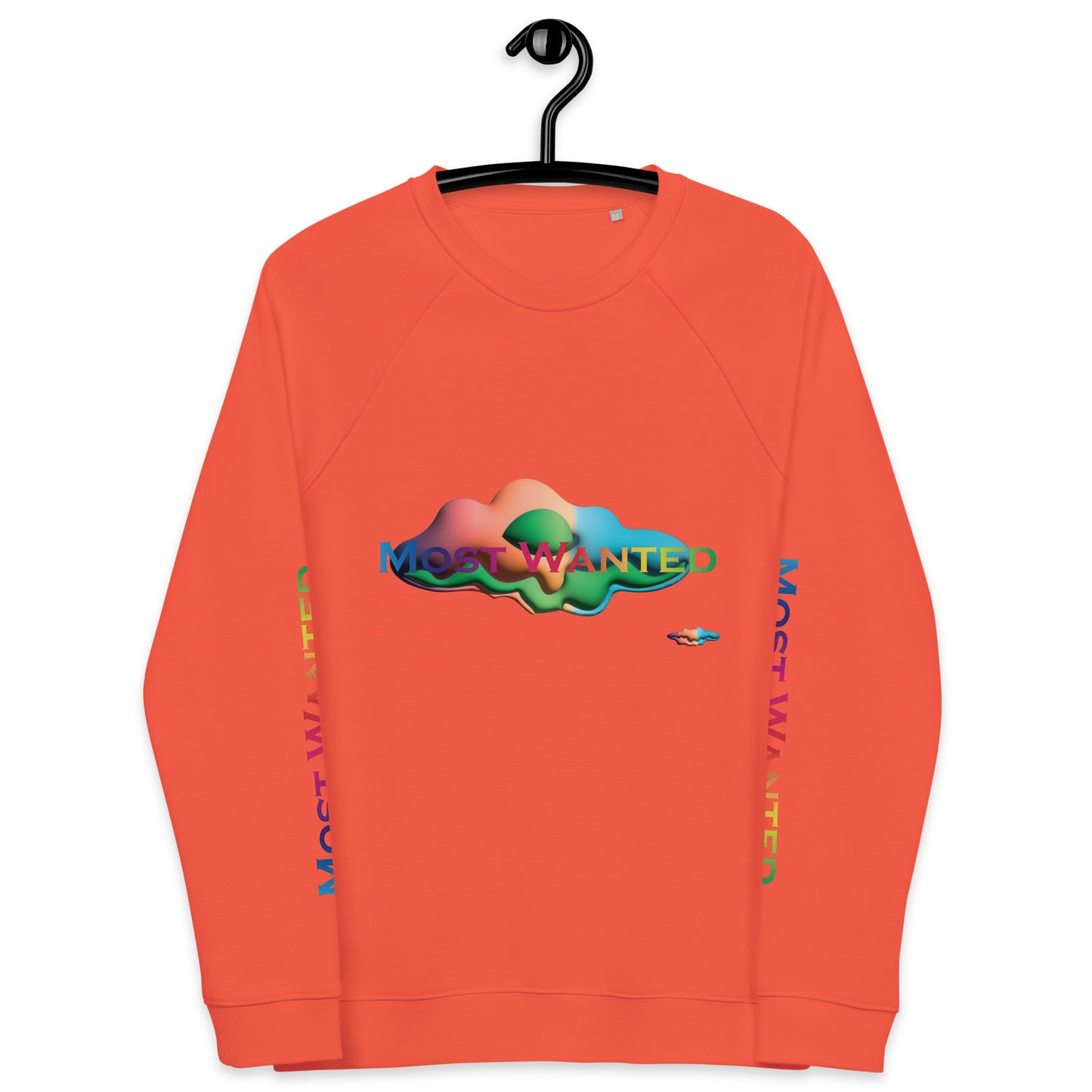 MOST WANTED CLOUDS 🌨️ 🌨️ SWEATER #2 ⭐⭐⭐