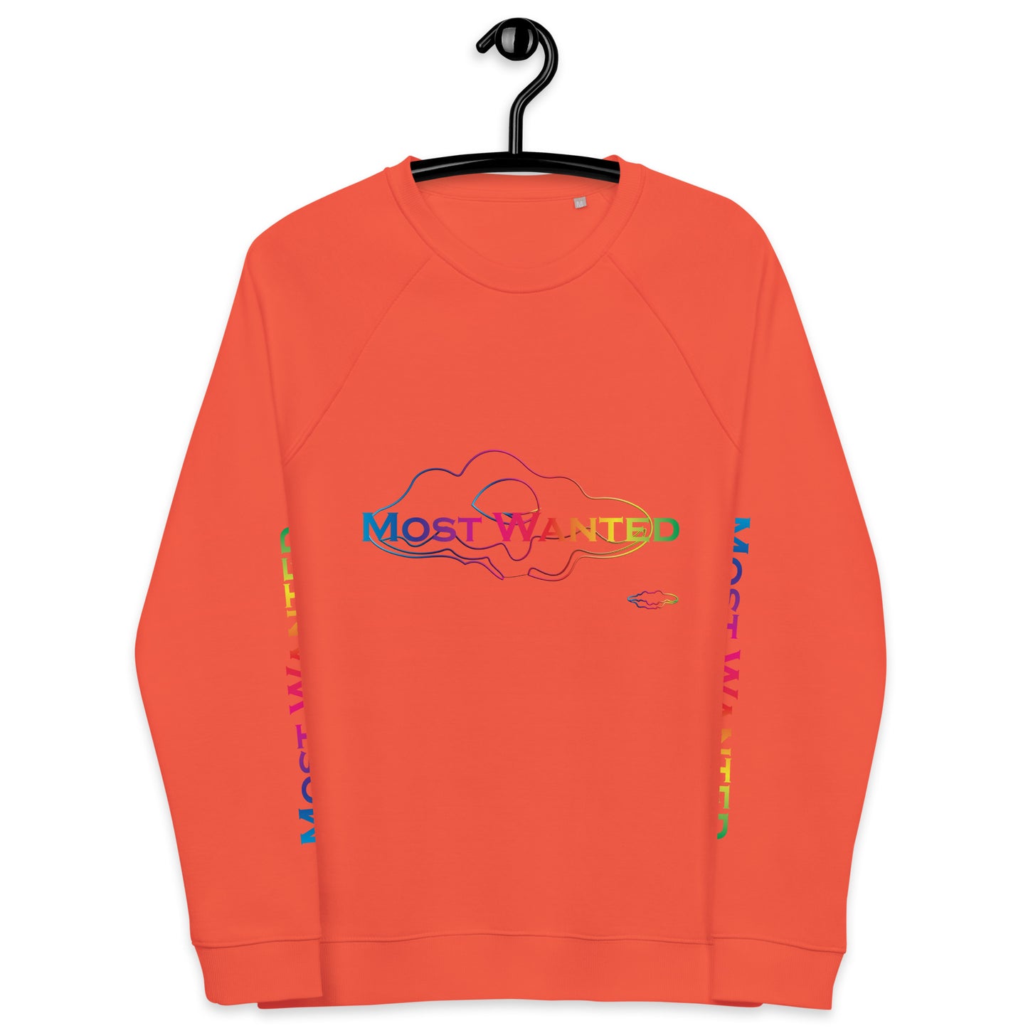 MOST WANTED CLOUDS🌨️🌨️   SWEATER #3⭐⭐⭐