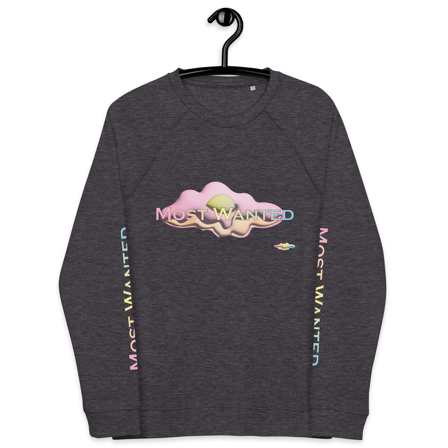 MOST WANTED CLOUDS 🌨️🌨️SWEATER #1 ⭐⭐⭐